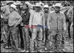 Arizona Black Rodeo - Rex Features