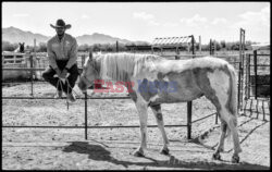 Arizona Black Rodeo - Rex Features