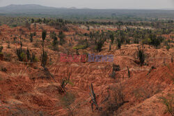 Pustynia Tatacoa miejscem światowego dziedzictwa geologicznego