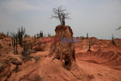 Pustynia Tatacoa miejscem światowego dziedzictwa geologicznego