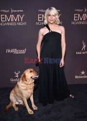 Emmy Nominees Night