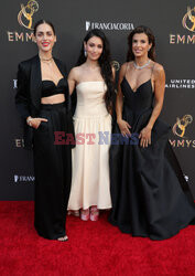 Emmy Nominees Night