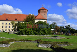 Kraków Albin Marciniak