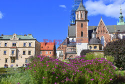 Kraków Albin Marciniak