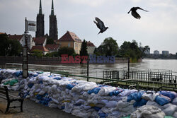 Fala kulminacyjna we Wrocławiu