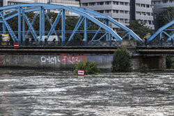 Fala kulminacyjna we Wrocławiu