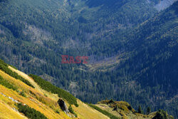 Tatry Słowackie Albin Marciniak