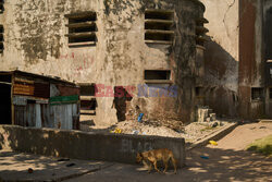 Grand Hotel Beira - symbol rozpaczy Mozambiku - AFP