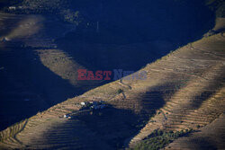 Porto z doliny Douro