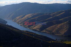 Porto z doliny Douro