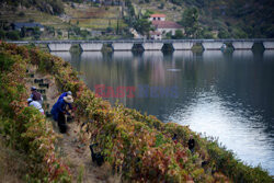 Porto z doliny Douro