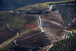 Porto z doliny Douro