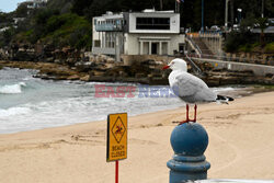 Zamknięta plaża w Sydney