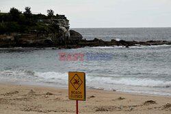 Zamknięta plaża w Sydney