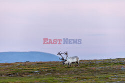 Norwegia turystycznie - Nur Photo