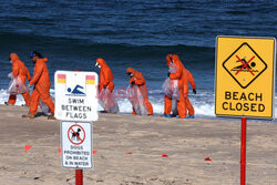 Zamknięta plaża w Sydney