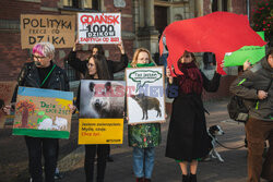 Gdański protest w obronie dzików