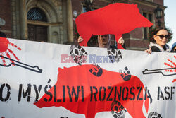 Gdański protest w obronie dzików