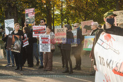 Gdański protest w obronie dzików