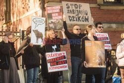 Gdański protest w obronie dzików