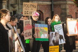 Gdański protest w obronie dzików