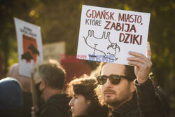 Gdański protest w obronie dzików