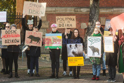 Gdański protest w obronie dzików