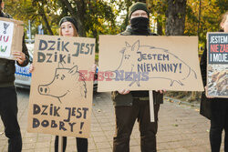 Gdański protest w obronie dzików