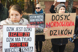 Gdański protest w obronie dzików