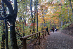 Bieszczady jesienią