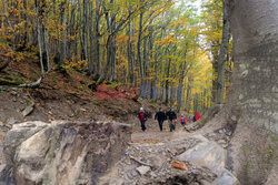 Bieszczady jesienią