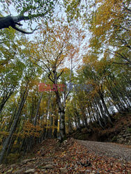 Bieszczady jesienią