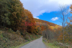 Bieszczady jesienią