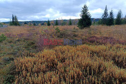 Bieszczady jesienią