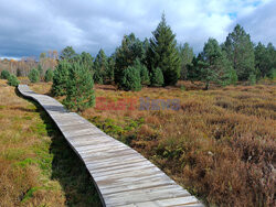 Bieszczady jesienią