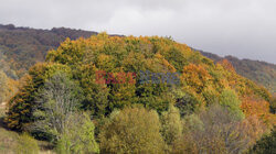 Bieszczady jesienią