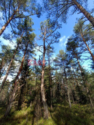 Bieszczady jesienią