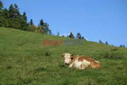 Bieszczady jesienią