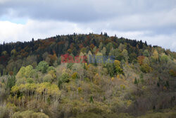 Bieszczady jesienią