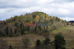 Bieszczady jesienią