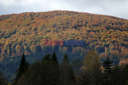 Bieszczady jesienią