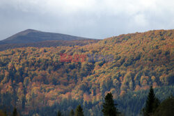 Bieszczady jesienią