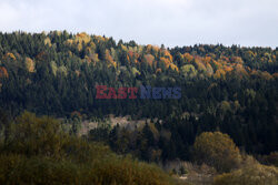 Bieszczady jesienią