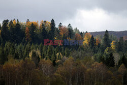 Bieszczady jesienią