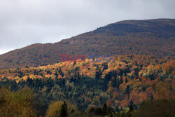 Bieszczady jesienią