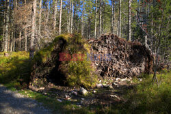 Polskie Tatry Albin Marciniak