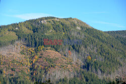 Polskie Tatry Albin Marciniak