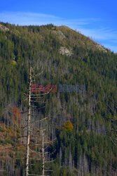 Polskie Tatry Albin Marciniak