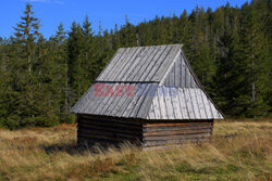 Polskie Tatry Albin Marciniak