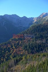 Polskie Tatry Albin Marciniak